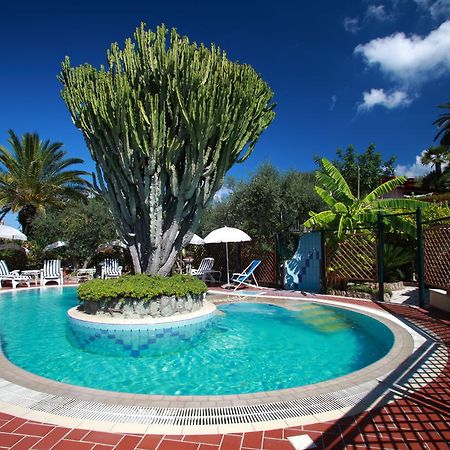 Residence Giardino Del Sole Forio di Ischia Екстериор снимка