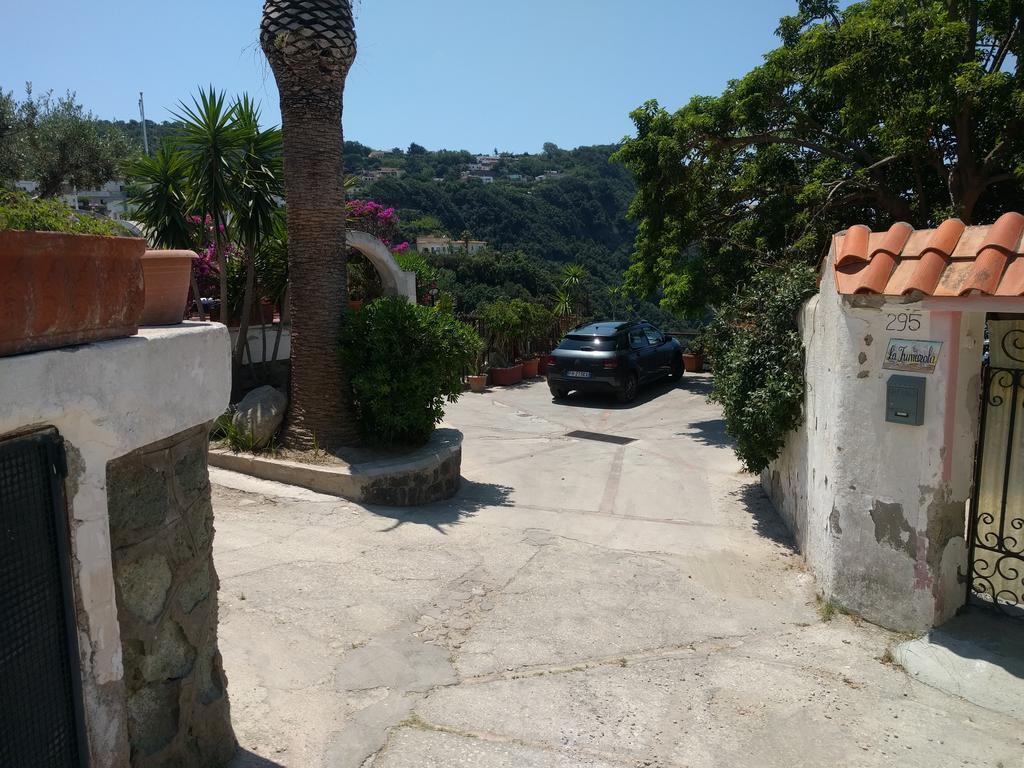 Residence Giardino Del Sole Forio di Ischia Екстериор снимка