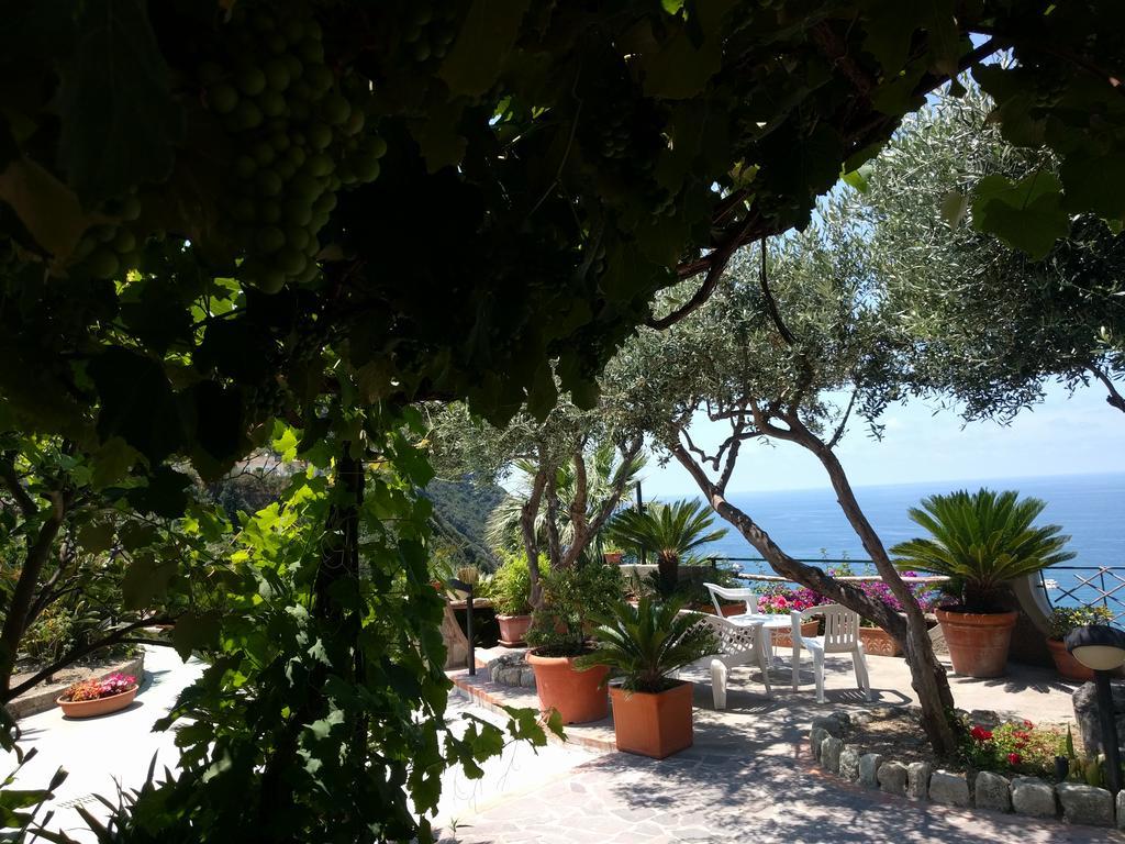 Residence Giardino Del Sole Forio di Ischia Екстериор снимка