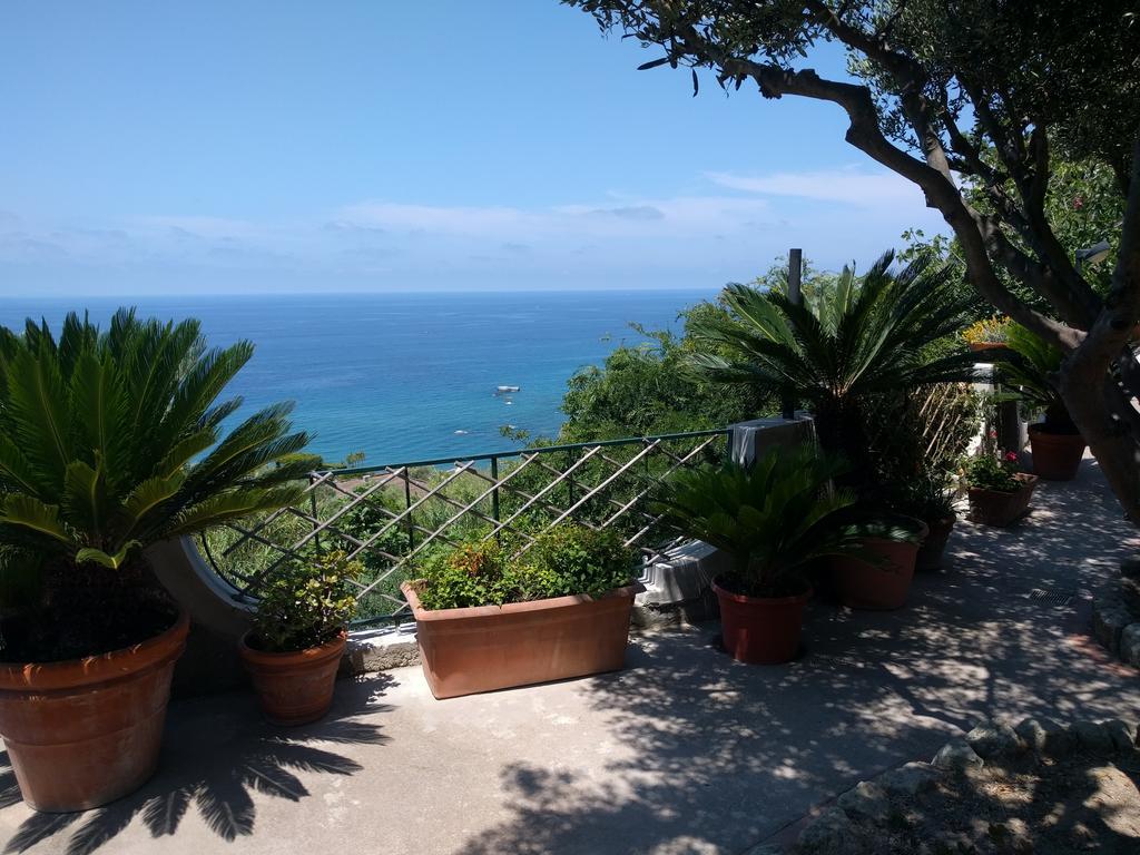 Residence Giardino Del Sole Forio di Ischia Екстериор снимка