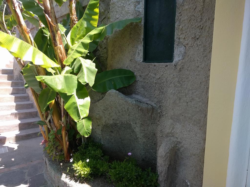Residence Giardino Del Sole Forio di Ischia Екстериор снимка